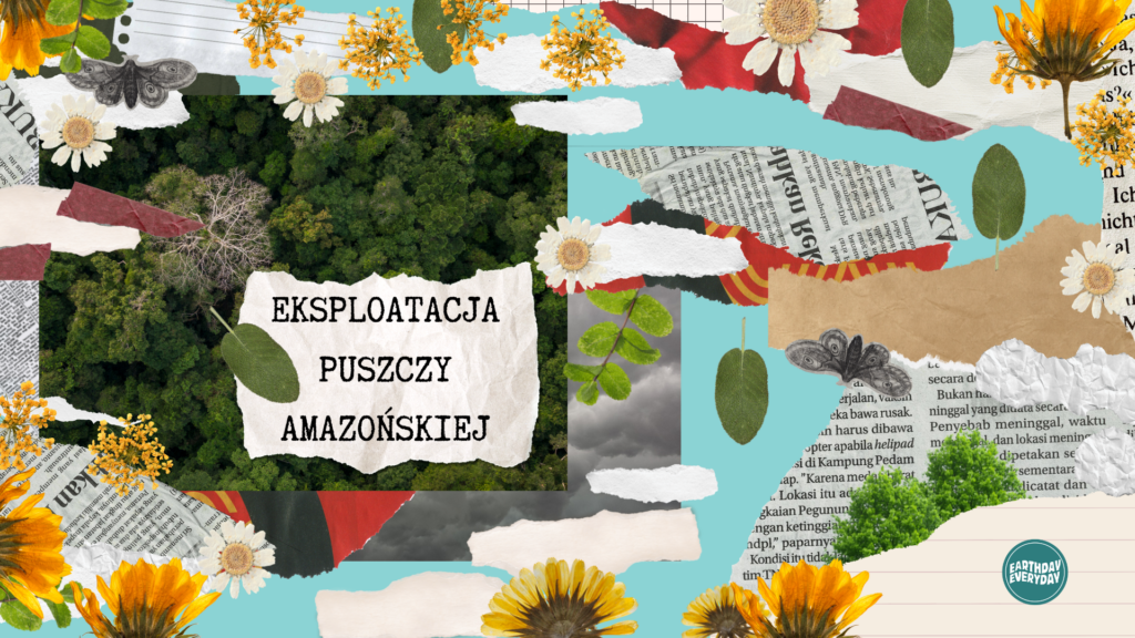 Eksploatacja Puszczy Amazońskiej – jakie niesie zagrożenia?
